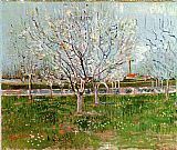 Orchard Canvas Paintings - Orchard in Blossom